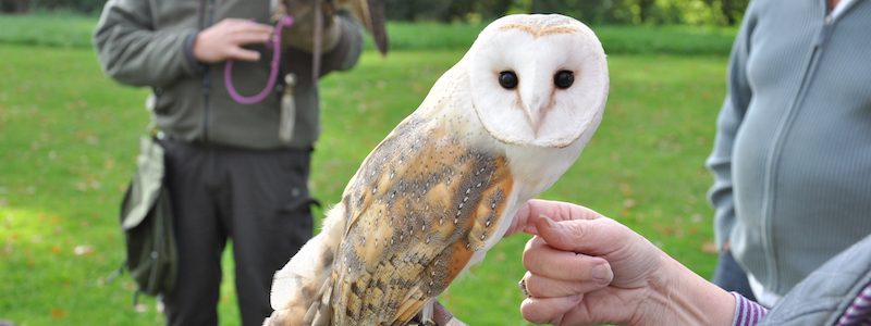 best-things-to-do-with-your-kids-in-Shropshire-1