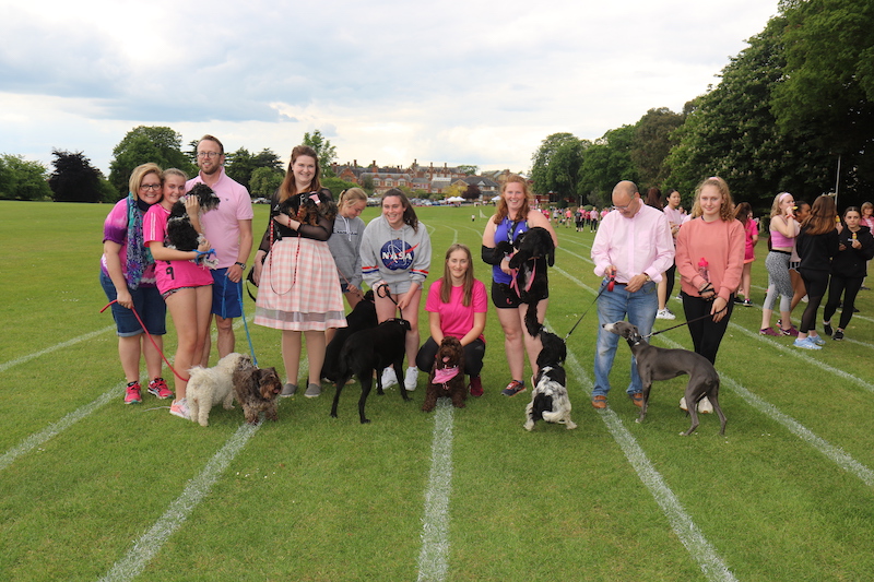Sea-of-pink-in-Reading-as-school-smash-fundraising-target-for-Race-for-Life2