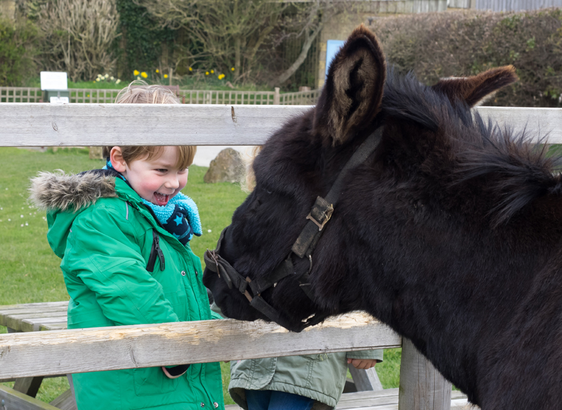 best-things-to-do-with-your-kids-in-the-Isle-of-Wight-3
