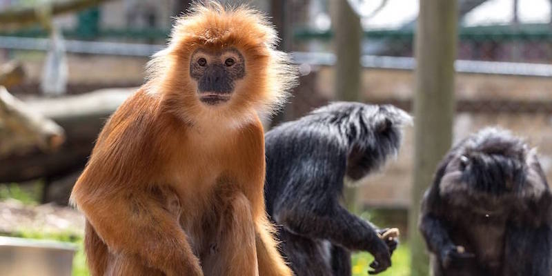 best-things-to-do-with-your-kids-in-the-Isle-of-Wight-8