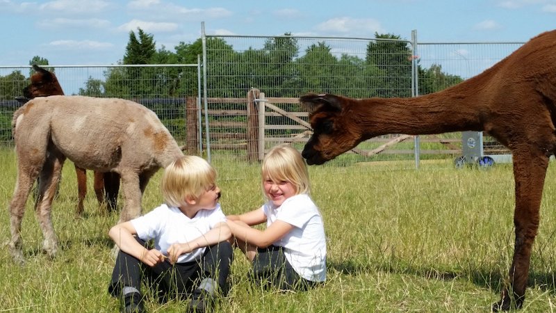 best-things-to-do-with-your-kids-in-Cambridgeshire-12