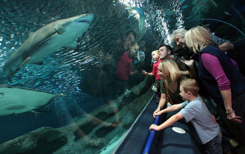 best-things-to-do-with-your-kids-in-Cheshire-10