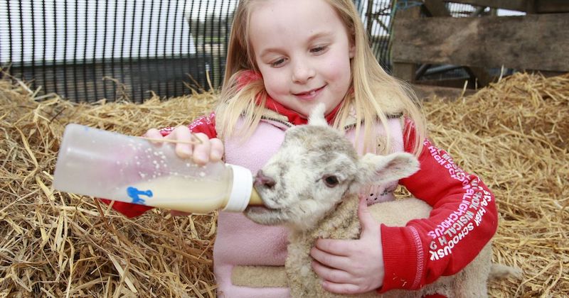 best-things-to-do-with-your-kids-in-Norfolk-3-1