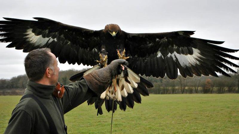 best-things-to-do-with-your-kids-in-Northamptonshire-4