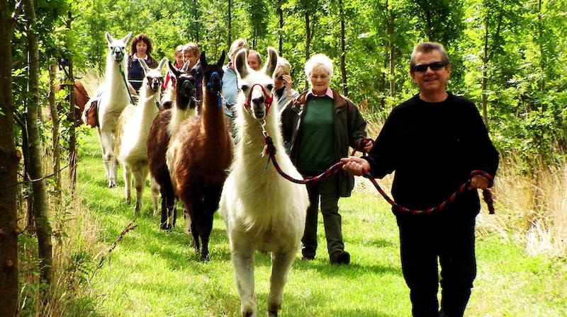 best-things-to-do-with-your-kids-in-Northamptonshire-5