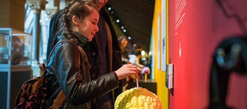 best-things-to-do-with-your-kids-in-Oxfordshire-7