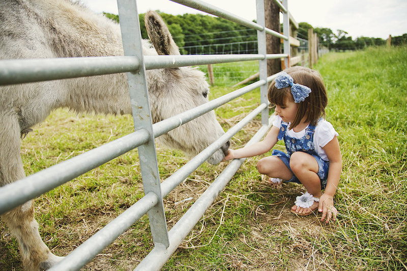 best-things-to-do-with-your-kids-in-Derbyshire-2