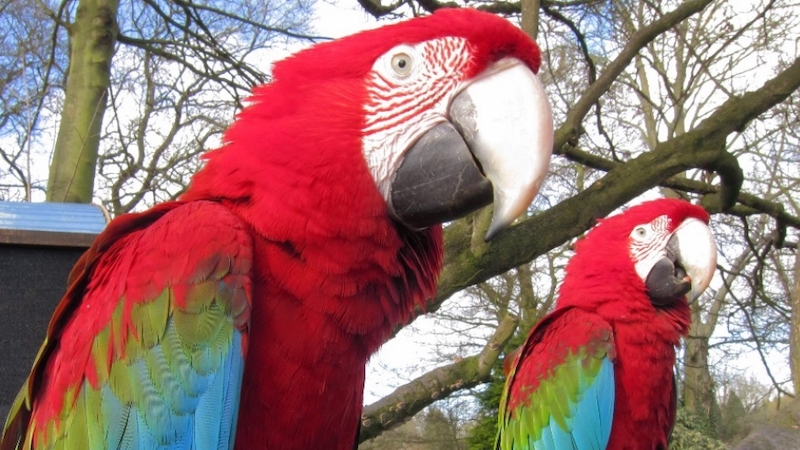 best-things-to-do-with-your-kids-in-Leicestershire-3