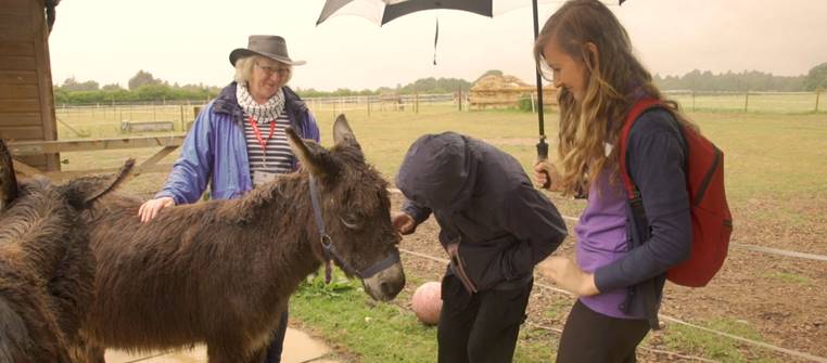Delightful-donkey-walk-for-one-lucky-71-year-old-from-East-Grinstead-1
