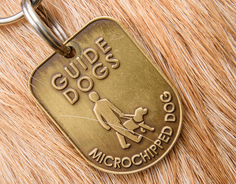 Guide-Dog-puppy-woofs-a-thank-you-to-local-business-sponsor---1