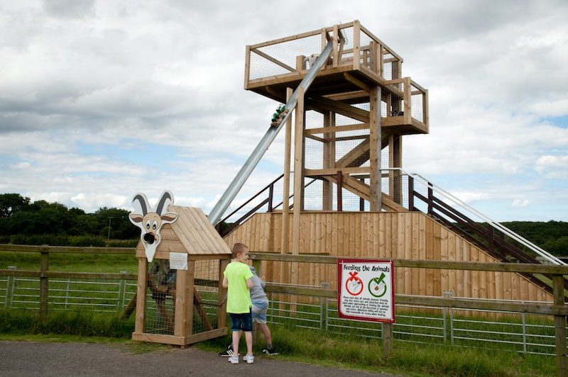 best-things-to-do-with-your-kids-in-County-Durham-2