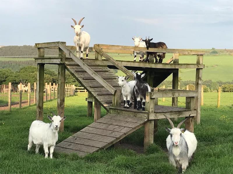 best-things-to-do-with-your-kids-in-County-Durham-4
