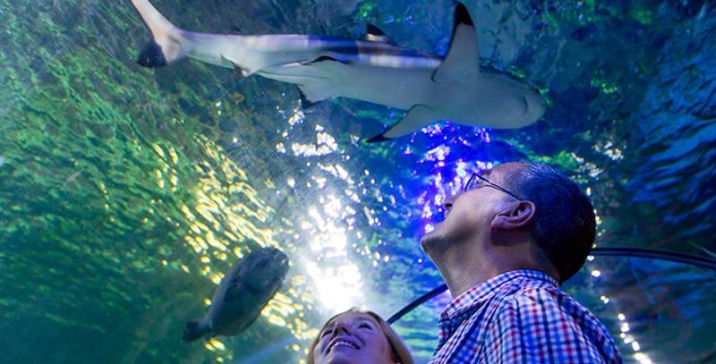 best-things-to-do-with-your-kids-in-Dorset-11