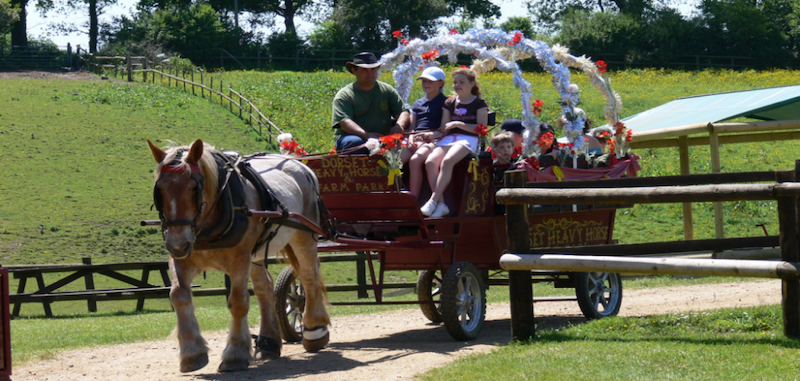 best-things-to-do-with-your-kids-in-Dorset-8-1