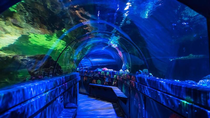 best-things-to-do-with-your-kids-in-East-Sussex-13