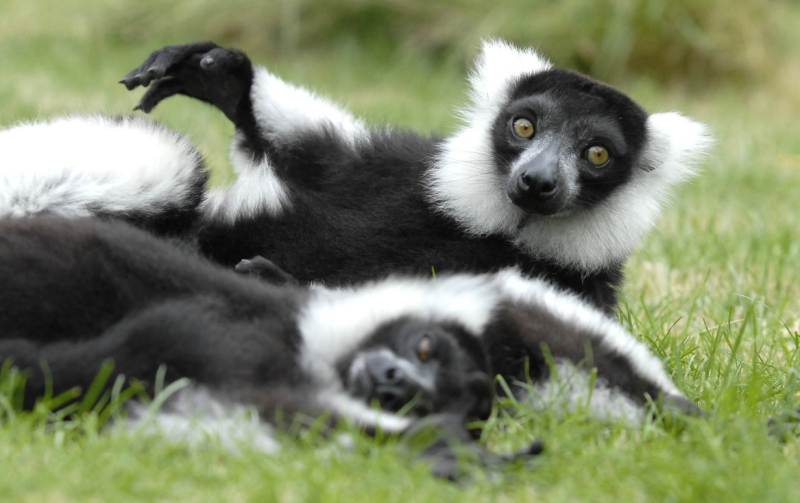 best-things-to-do-with-your-kids-in-East-Sussex-2