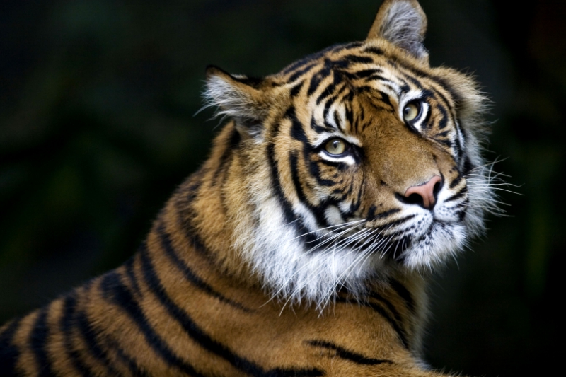 best-things-to-do-with-your-kids-in-Lincolnshire-7