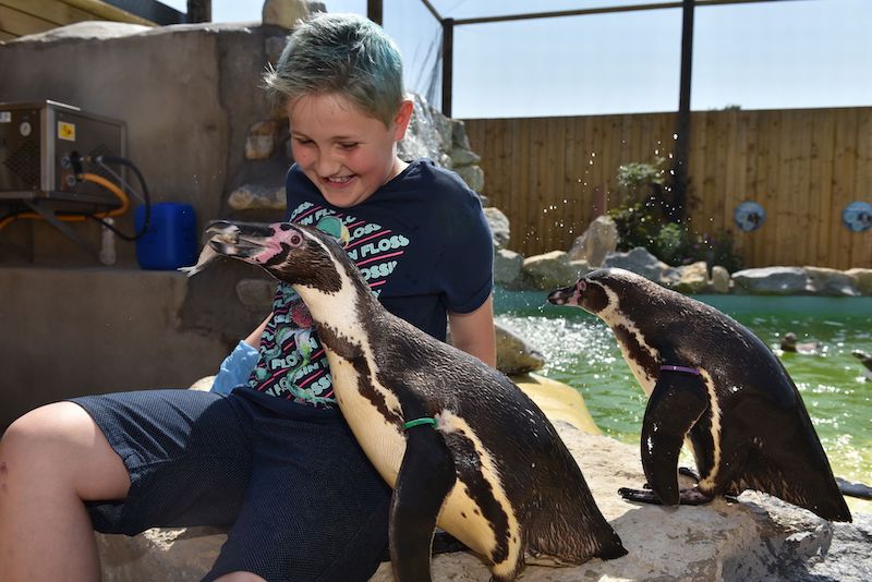 best-things-to-do-with-your-kids-in-Lincolnshire-8