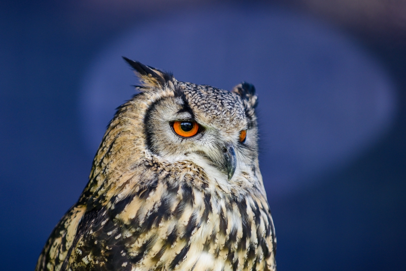 best-things-to-do-with-your-kids-in-West-Sussex-5