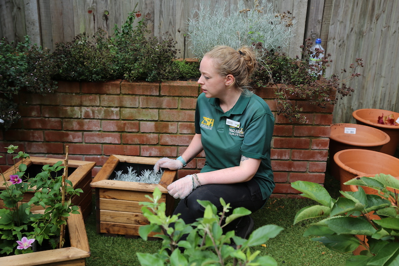 A-glimpse-into-garden-Paradise-thanks-to-voluntary-renovations-in-Cheshunt