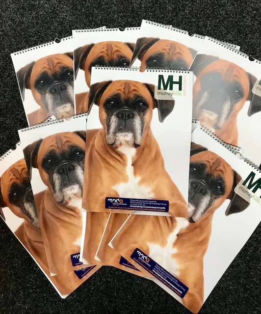 Adorable-pooch-with-an-incredible-story-scores-front-page-of-charity-calendar-2