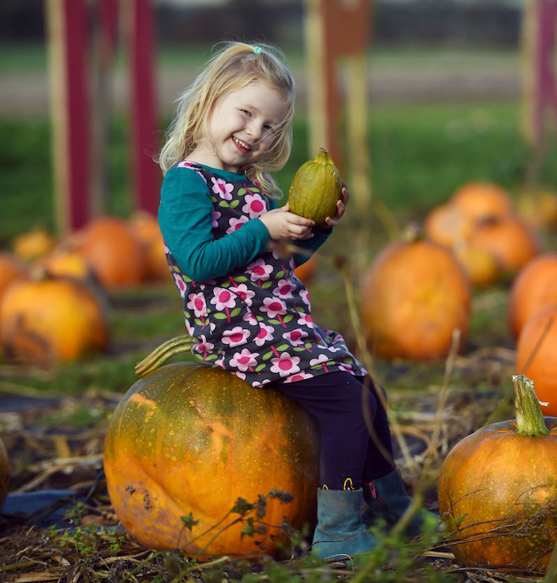 Go-pumpkin-picking-this-half-term-with-our-list-of-the-best-patches-across-the-UK18