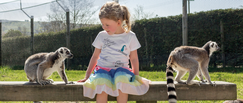 best-things-to-do-with-your-kids-in-Staffordshire-2