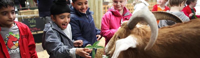 best-things-to-do-with-your-kids-in-Staffordshire-7-1