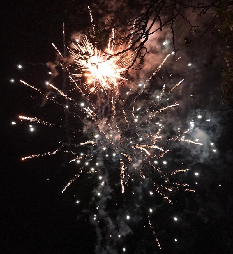 Milkwood Care celebrates 20 years in business with a bang!