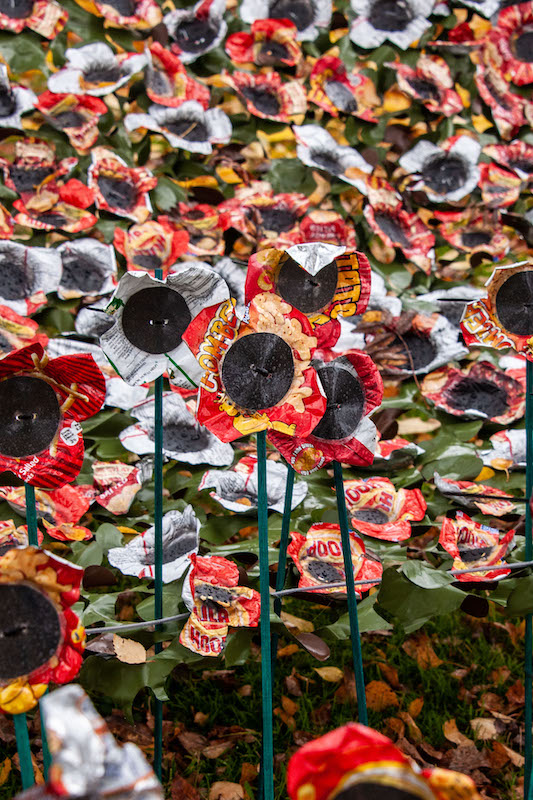 Spectacular-poppy-display-by-primary-schoolers-in-Nottingham-1