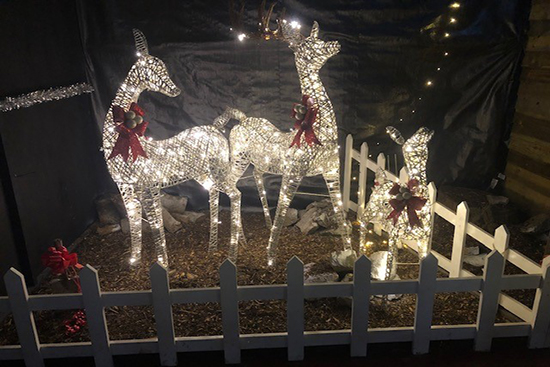 The-best-Christmas-Grottos-where-you-can-meet-Santa-in-the-Midland-16