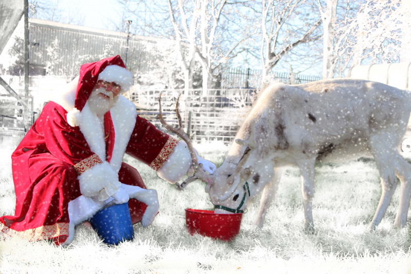 The-best-Christmas-Grottos-where-you-can-meet-Santa-in-the-Midlands-15