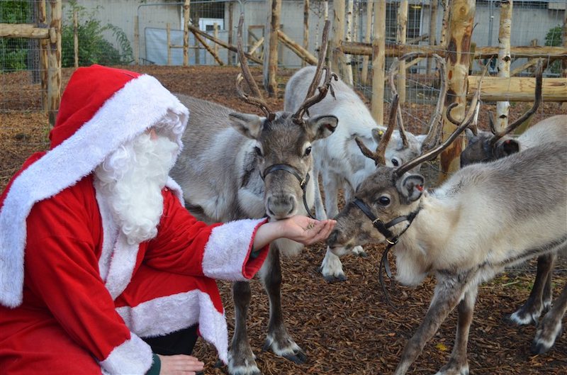 The-best-Christmas-Grottos-where-you-can-meet-Santa-in-the-South-9