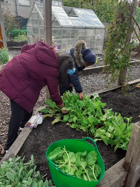 Tower-Hamlets-Primary-School-hires-gardener-to-teach-sustainability