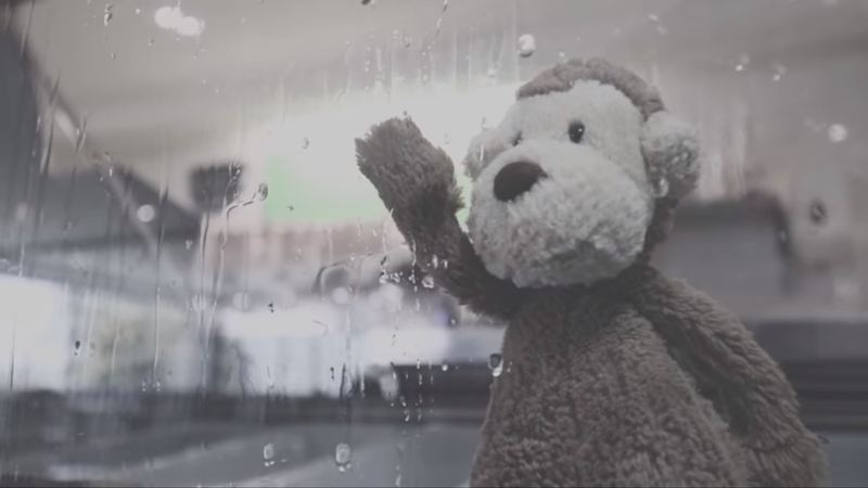 Public-appeal-to-reunite-lost-cuddly-monkey-in-time-for-Christmas