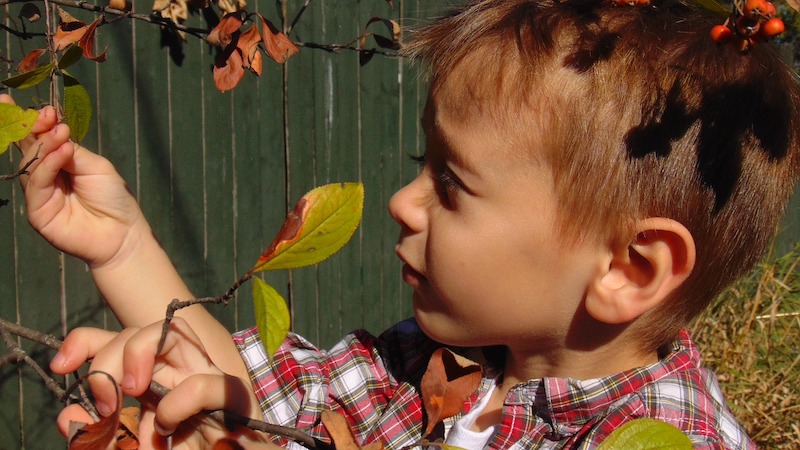 Families-encouraged-to-explore-the-great-outdoors-in-new-2020-challenge-2