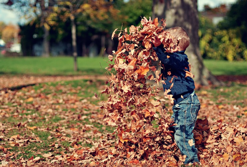 Families-encouraged-to-explore-the-great-outdoors-in-new-2020-challenge-7