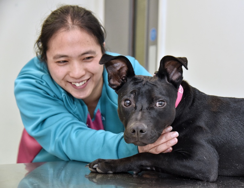 Trainee-vet-care-assistant-adopts-puppy-she-helped-save-2