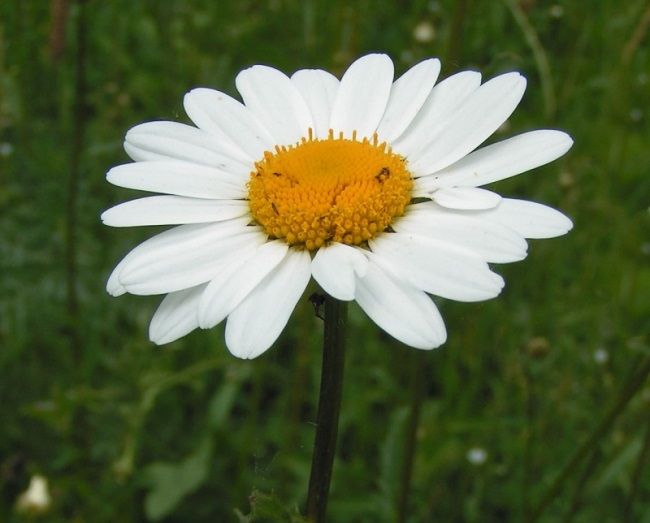 Tameside Countryside: Nature waiting for us on our doorstep