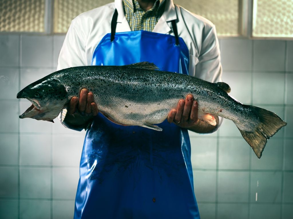 Major campaign launched to save 'critical' fishing industry in Kent