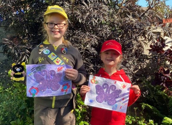 Willow Wood Hospice launches butterfly artwork competition