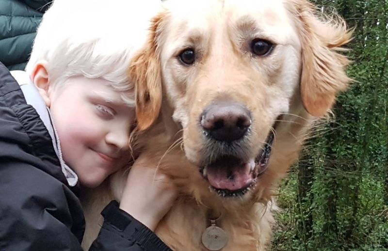 Guide Dogs Cymru expand and offer buddy dogs to children with sight loss