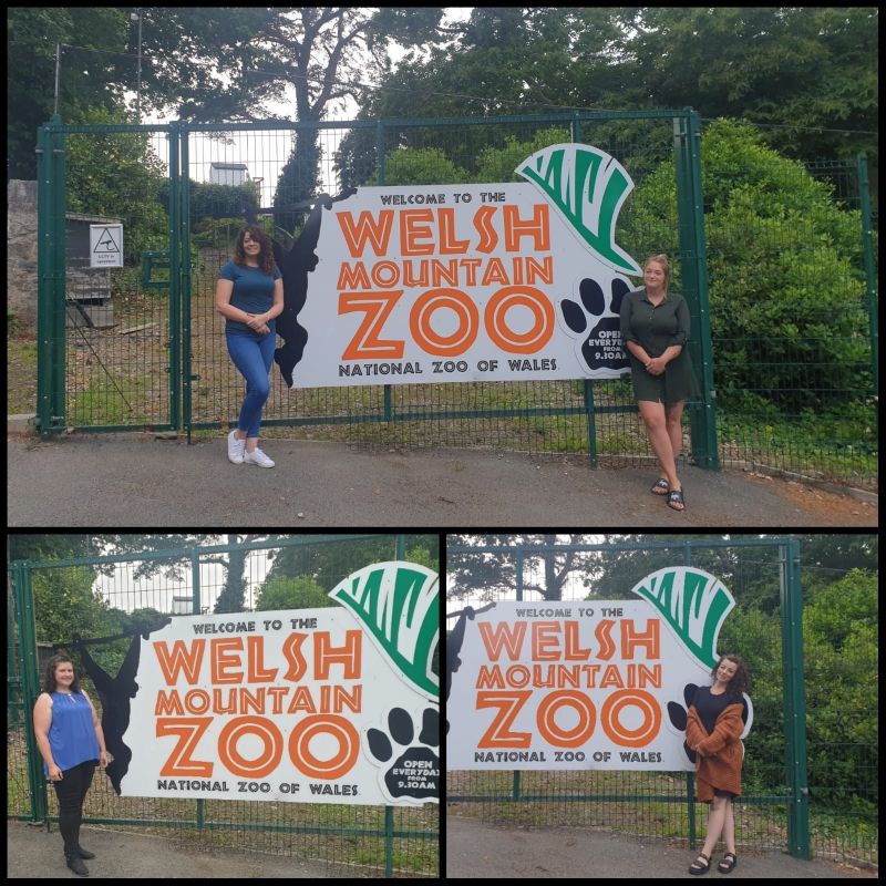 Two sisters and their friends launch a charity auction for Welsh Mountain Zoo