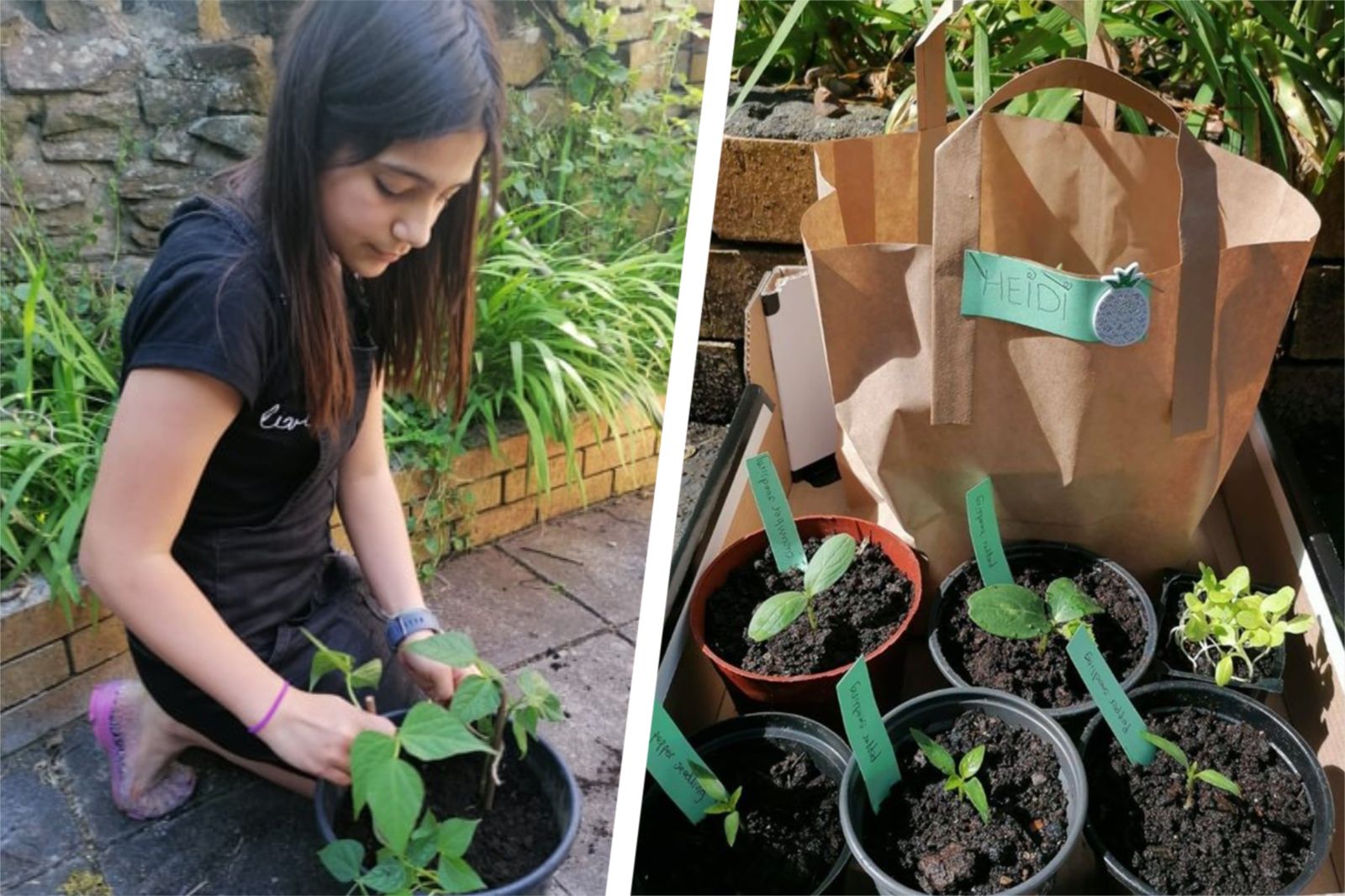 11-year-old set up business growing and selling food and plants during lockdown