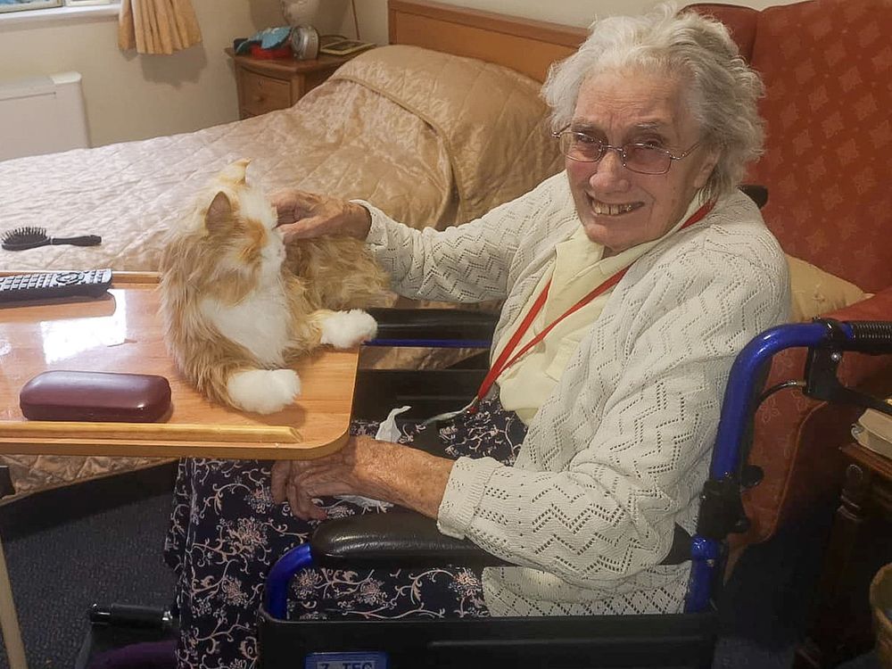 Robotic pets bring comfort to residents at care home in Hythe