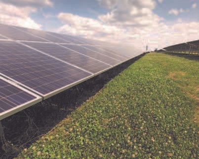 Plans unveiled for a massive solar farm near Barnstaple 