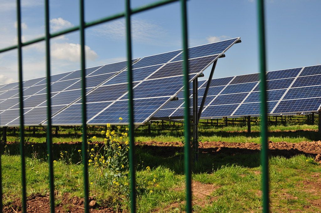 New solar panels at University of Exeter will cut carbon footprint