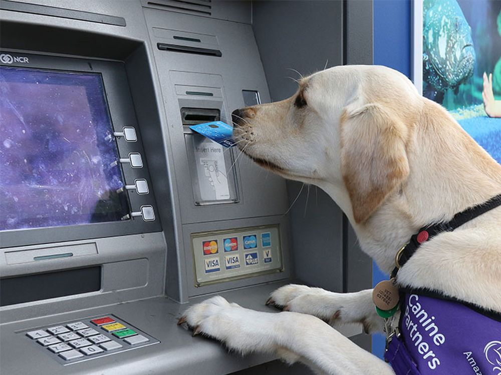 Thanet Rotarians donate £1200 to assistance dogs charity