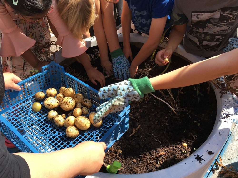 Funding For Folkestones Community Food Growing Project Inyourarea