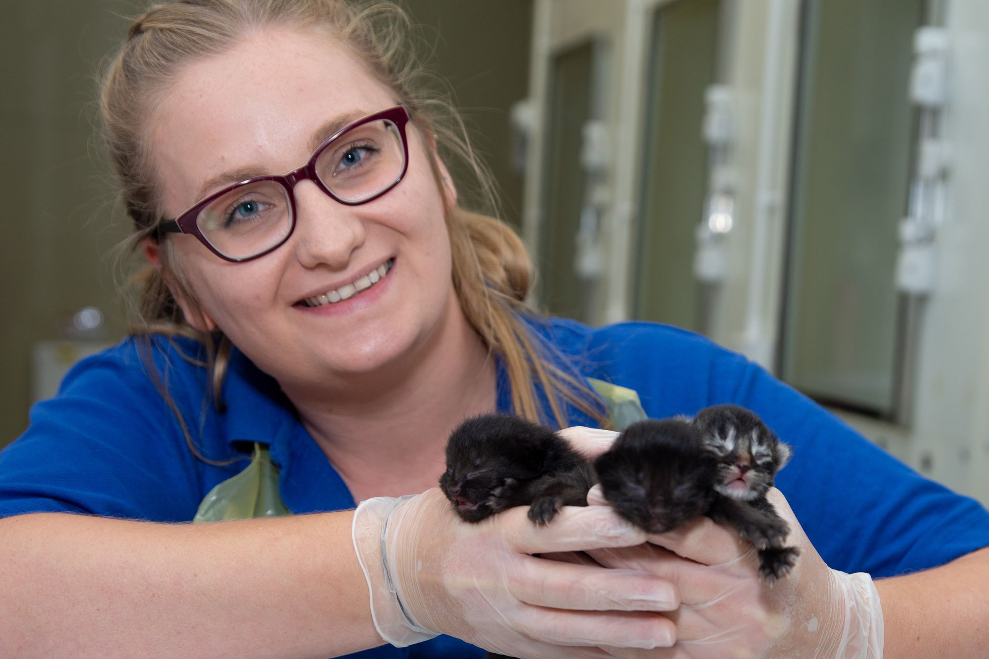 Kittens named after Black Panther characters in memory of actor Chadwick Boseman